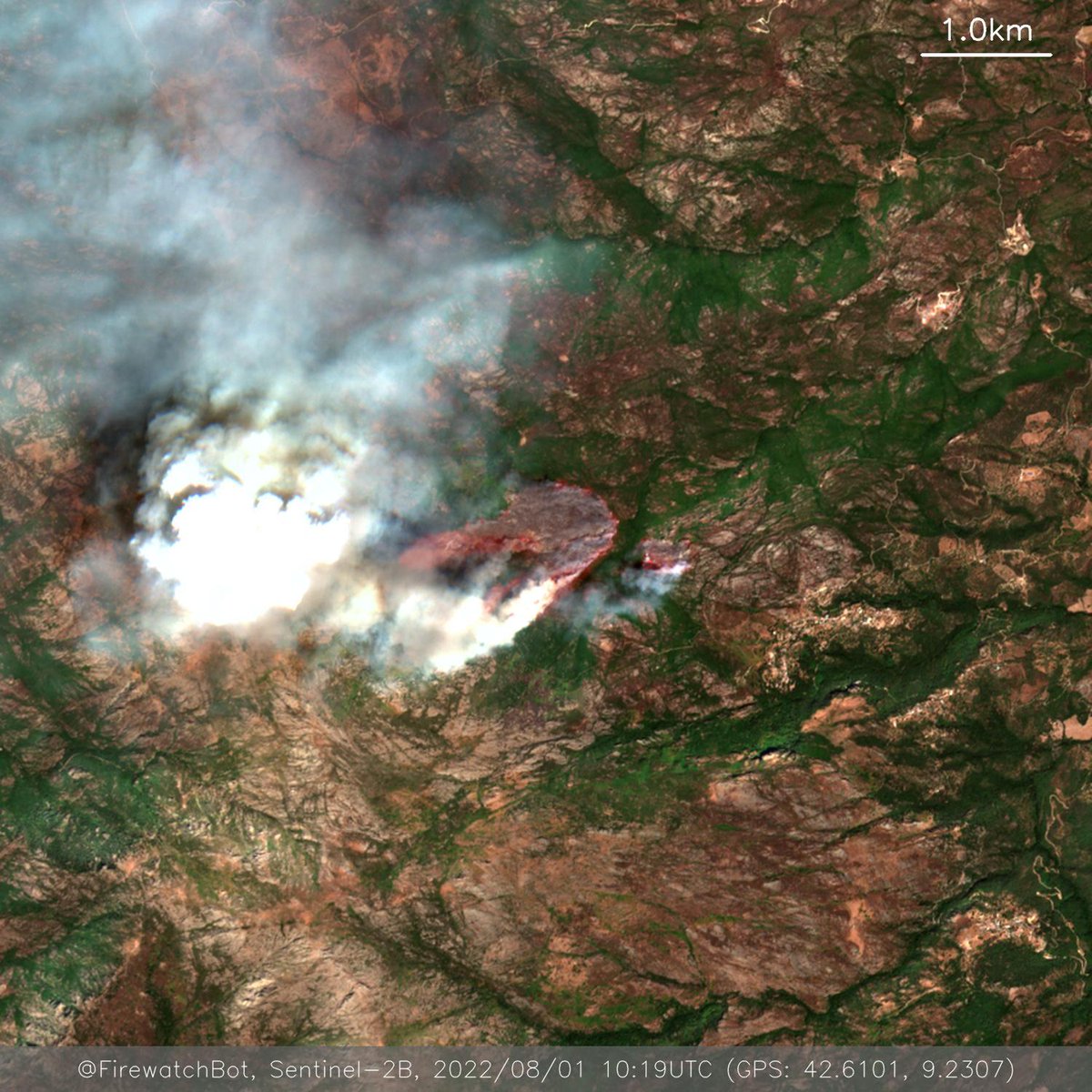 Fire detected from #Sentinel2

🗺 Place: Haute-Corse, Corsica, #France
🕛 Date: 2022/08/01 10:19UTC

View location: maps.google.com/?q=42.61006102… (42.6101, 9.2307)