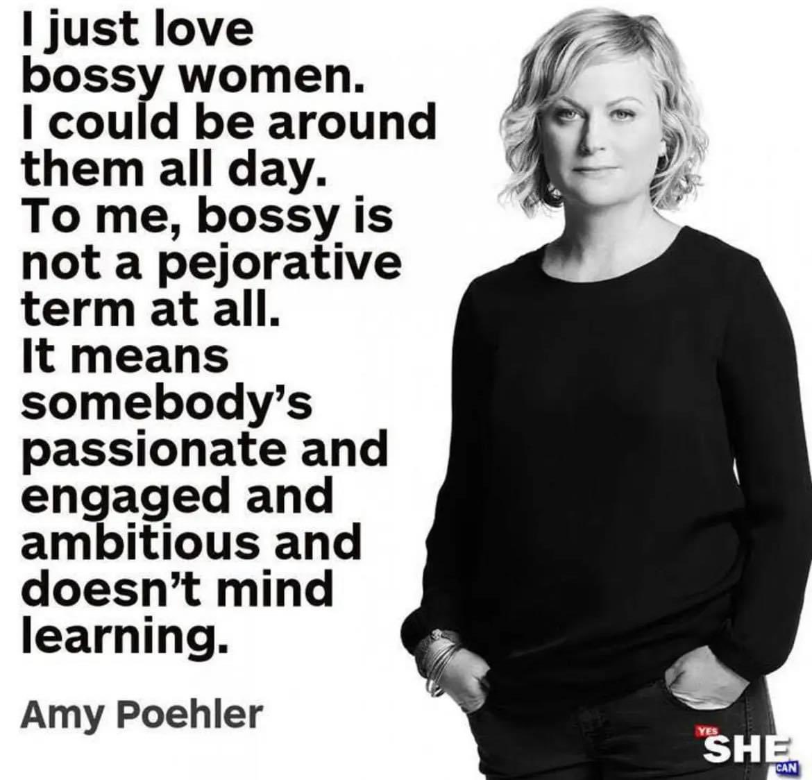 Ekaterina's tweet photo. My favorite definition of “bossy” https://t.co/eY3eP3Avgm