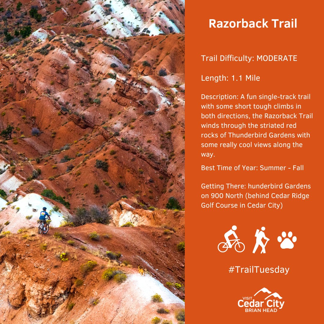 VisitCedarCity's tweet image. 2) Located in Thunderbird Gardens, this trail is not far from downtown and climbs through some incredible red rock scenery. In the image included (by local mountain biker Jacob Miller) you can see the variety of colors and striation along the way! 

#TrailTuesday #VisitCedarCity