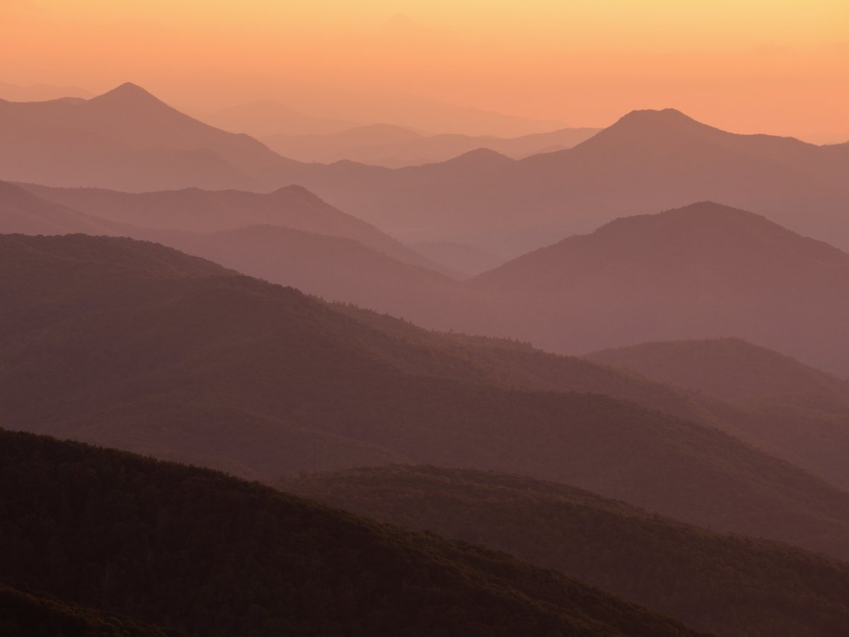 utknursing's tweet photo. @utknursing has been awarded a $677,238 grant from the @HRSAgov to train nurses in providing care to victims of sexual assault and abuse throughout rural Appalachia. https://t.co/99ewYsd0hc