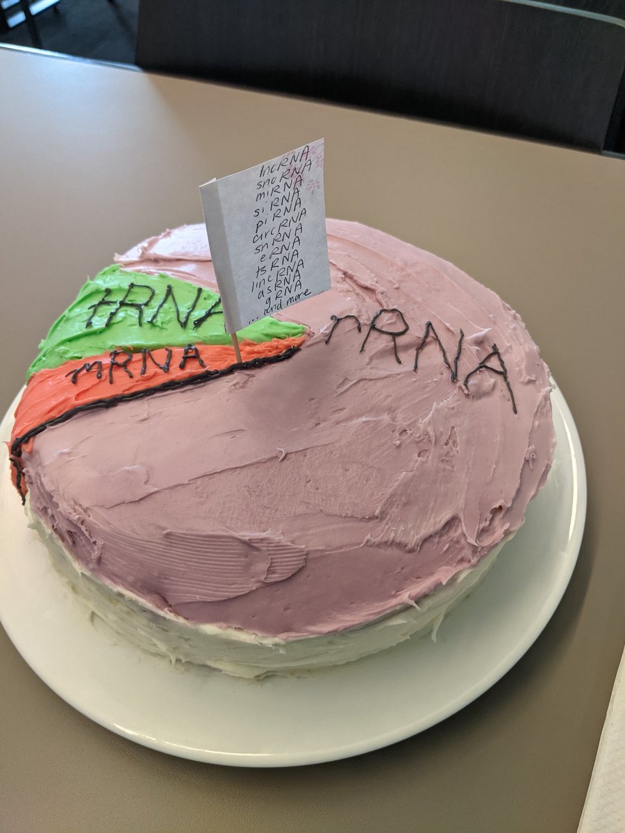 LabRat12008608's tweet photo. Happy RNA Day! Here is a pie (cake) chart of relative abundances of different types of RNA in the cell 🧬 #RNADAY https://t.co/famuUOYUSG