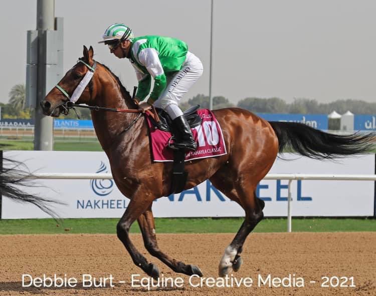 gouffern's tweet photo. Homebred JARIF easily won the Gr.3 PA UAE President Cup today at Ostende 🇧🇪 🎊 Born and bred at Gouffern on behalf of Sheikh Haif Al Ghatani and ourselves. Congrats to all involved ✨ https://t.co/qS7MnFYLbd