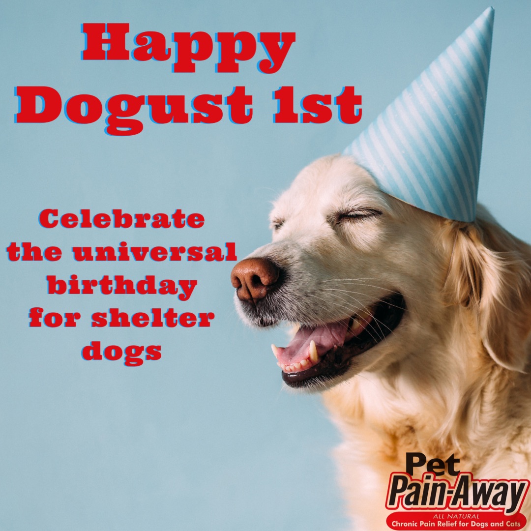 nutrapharma's tweet photo. Celebrate this Dogust 1st with us and pick up some Pet Pain Away today. https://t.co/hxe3YCrBqE https://t.co/wYDULaw6pP