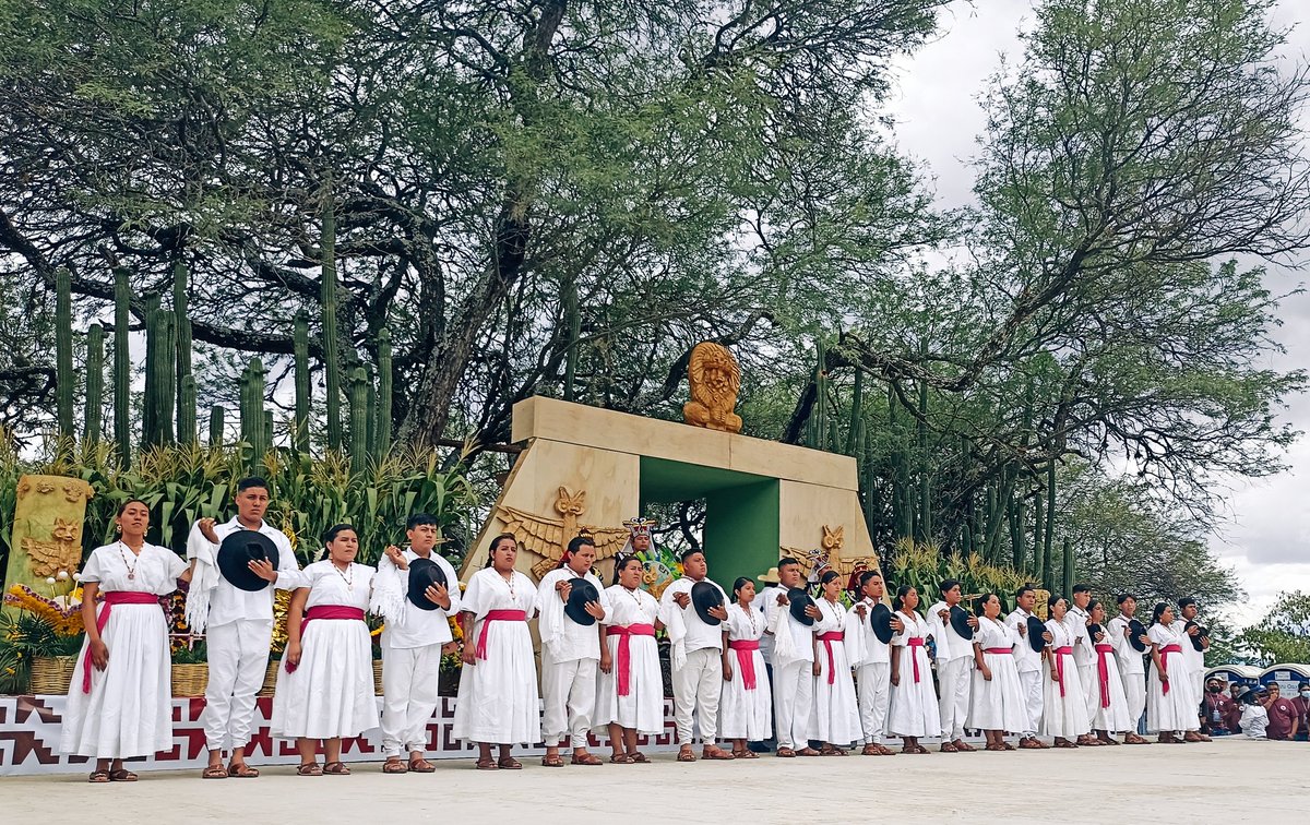 Sentidos Oaxaca tweet media