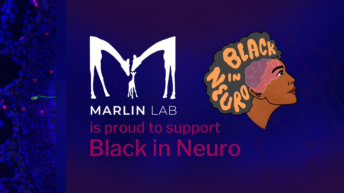 The Marlin Lab is proud to support <a href="/BlackInNeuro/">Black In Neuro 🧠</a> &amp; #BiNW22! 

I'm beyond impressed &amp; inspired by your passion, reach &amp; execution. You all have created a space that didn’t exist before- simply because you chose to do the work needed to bring a feeling to fruition. Thank you 🙏🏿🌟🧠