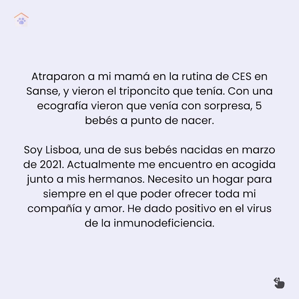 KlygoApp ES tweet media