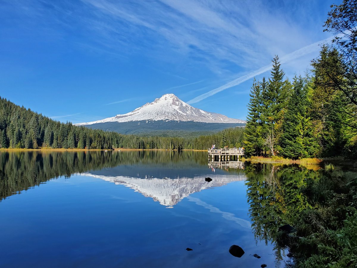 “I go to nature to be soothed and healed, and to have my senses put in order.” 

-–John Burroughs