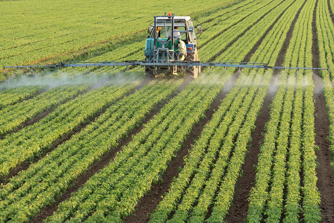 Center for Health Equity Research (@cherarizona) on Twitter photo An excellent feature by NAU Review on the work of Dr. Catherine Propper, Shantel Henry and Dr. <a href="/IndrakshiRoy/">indrakshi roy</a> on their study on agrochemicals and their link to cancer.
bit.ly/3zoEdZB
#CHERtheHealth #healthequity #agricultureandfarming #NAUResearch #NAU An excellent feature by NAU Review on the work of Dr. Catherine Propper, Shantel Henry and Dr. <a href="/IndrakshiRoy/">indrakshi roy</a> on their study on agrochemicals and their link to cancer.
bit.ly/3zoEdZB
#CHERtheHealth #healthequity #agricultureandfarming #NAUResearch #NAU
