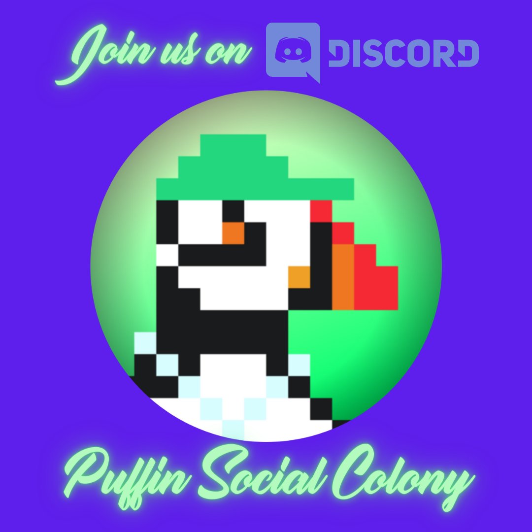 Join the official Discord server of the Puffin Social Colony and receive 2 free Retro Puffin #NFTs ! #NFTCommunity #PolygonNFTs #FreeNFTs #NFTAirdrop discord.gg/Uc3dyWJHy3