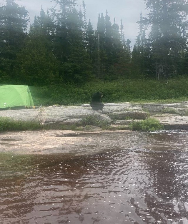 Yesterday, #JRCC Trenton supported the <a href="/OPP_NER/">OPP North East Region</a> in evacuating 12 canoeists from a remote location southeast of Moosonee, Ont., after the group was forced from their camp by a bear. <a href="/RCAF_ARC/">Royal Canadian Air Force</a> <a href="/ONresources/">Ontario Ministry of Natural Resources</a> #SAR (1/2)
