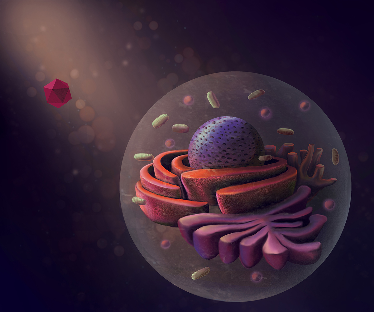 Louisiana Tech University tweet media