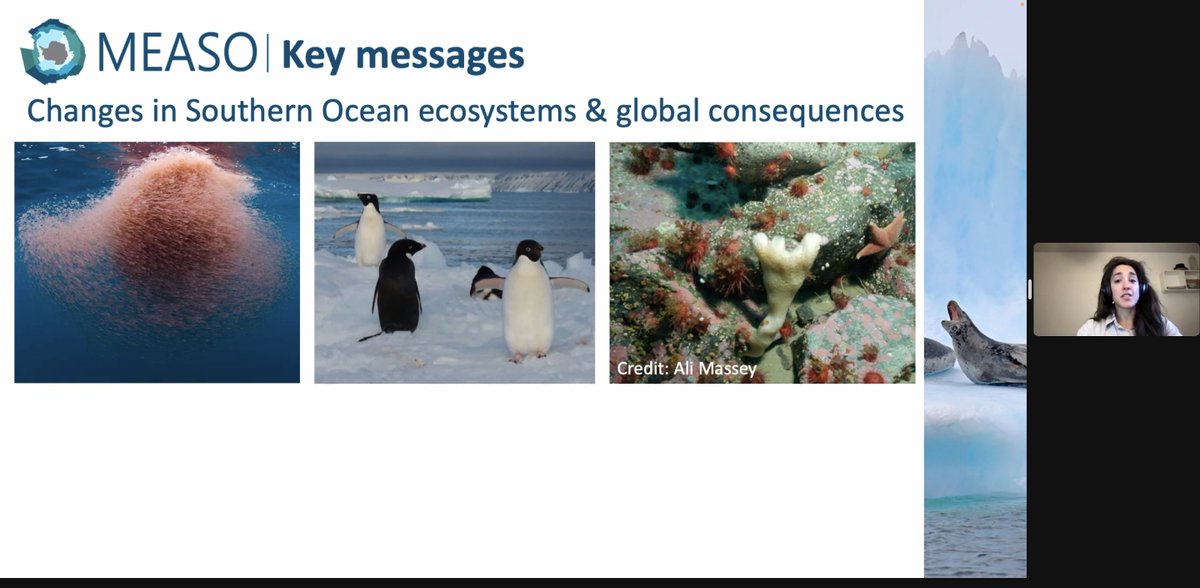BiodiversityAQ's tweet photo. currently attending #SCAR2022 Session on "Rethinking Antarctic environments and conservation."
Jilda Caccavo kicks of with a presentation on #MEASO.
Articles here:
https://t.co/vcUgjVYgyz https://t.co/n4p2IdwQUd