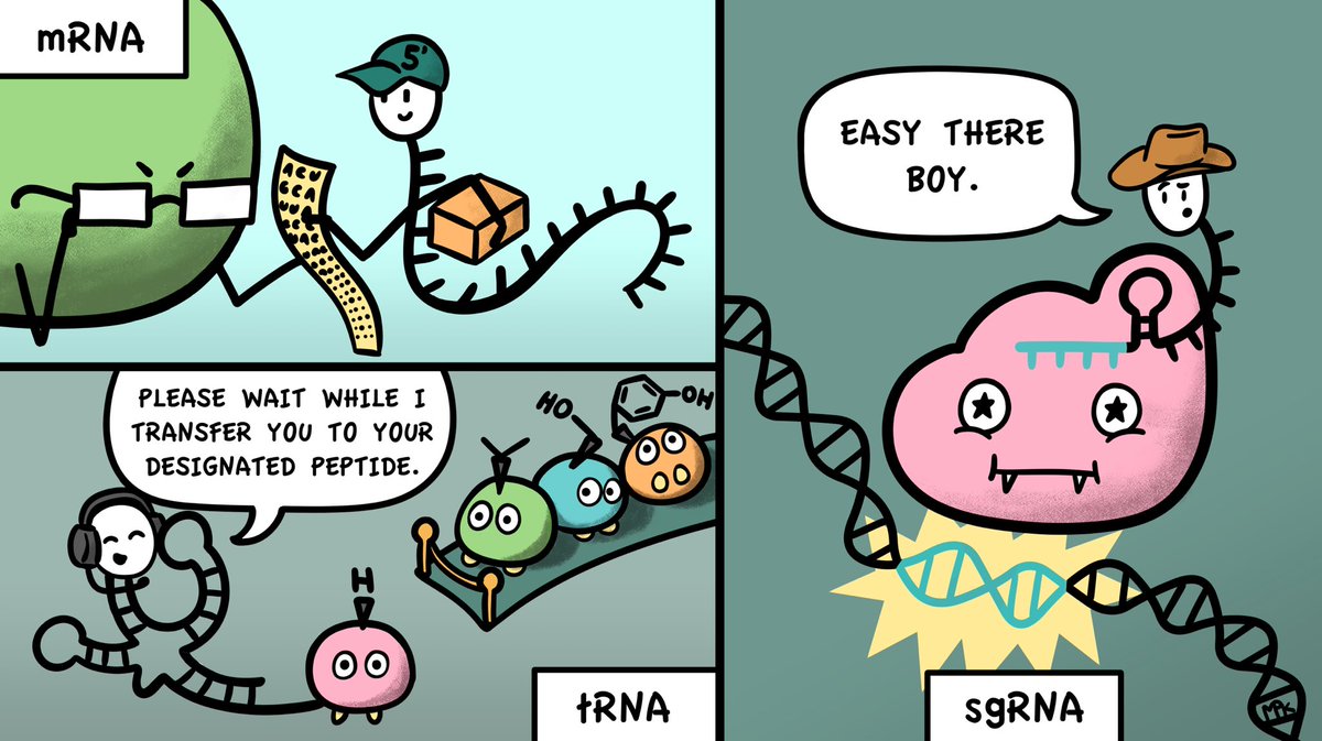 Maya Kostman (MPK) tweet media