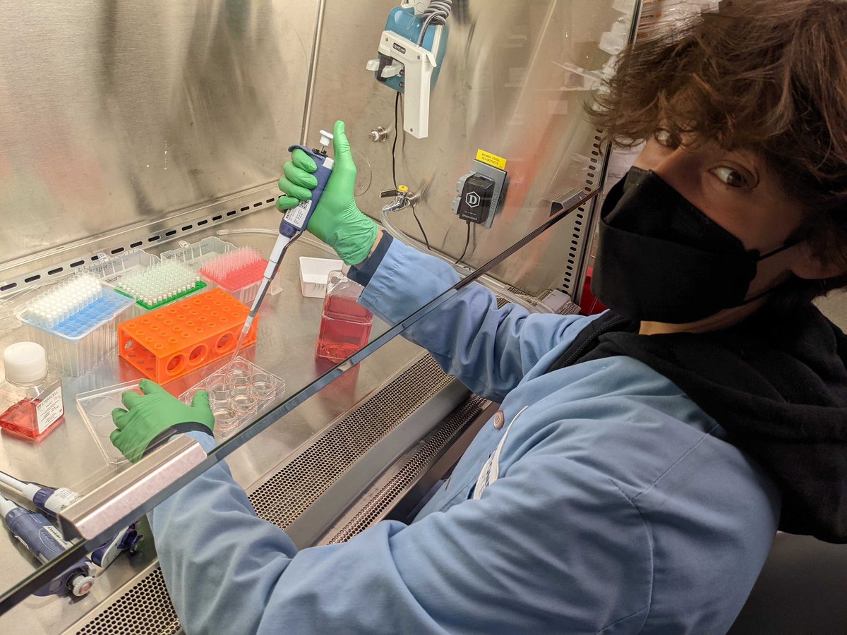 benoitbruneau's tweet photo. 16 yo F1 following in his papa’s footsteps (at least for the summer!) @GladstoneInst @TheConklinLab https://t.co/lj5D35BNwU