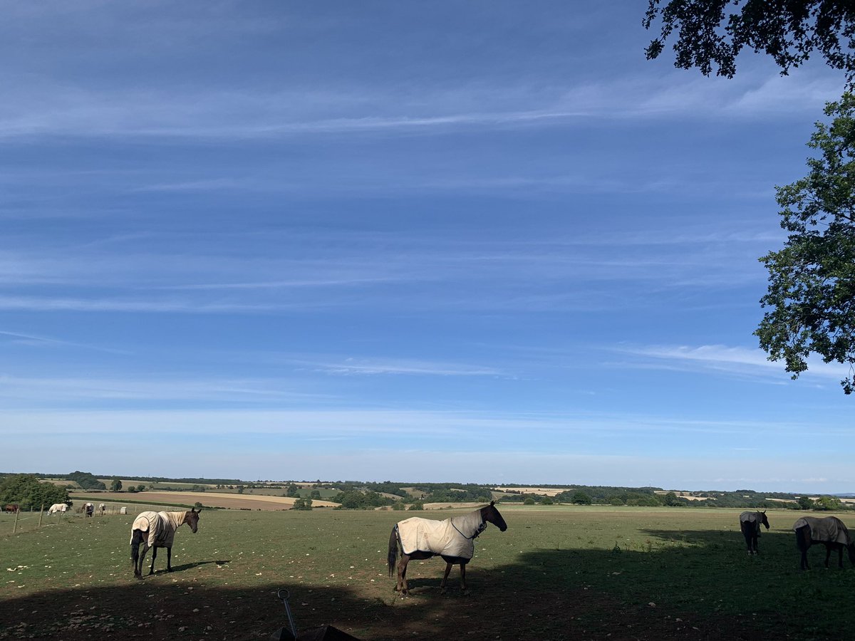 Chris Canning tweet media