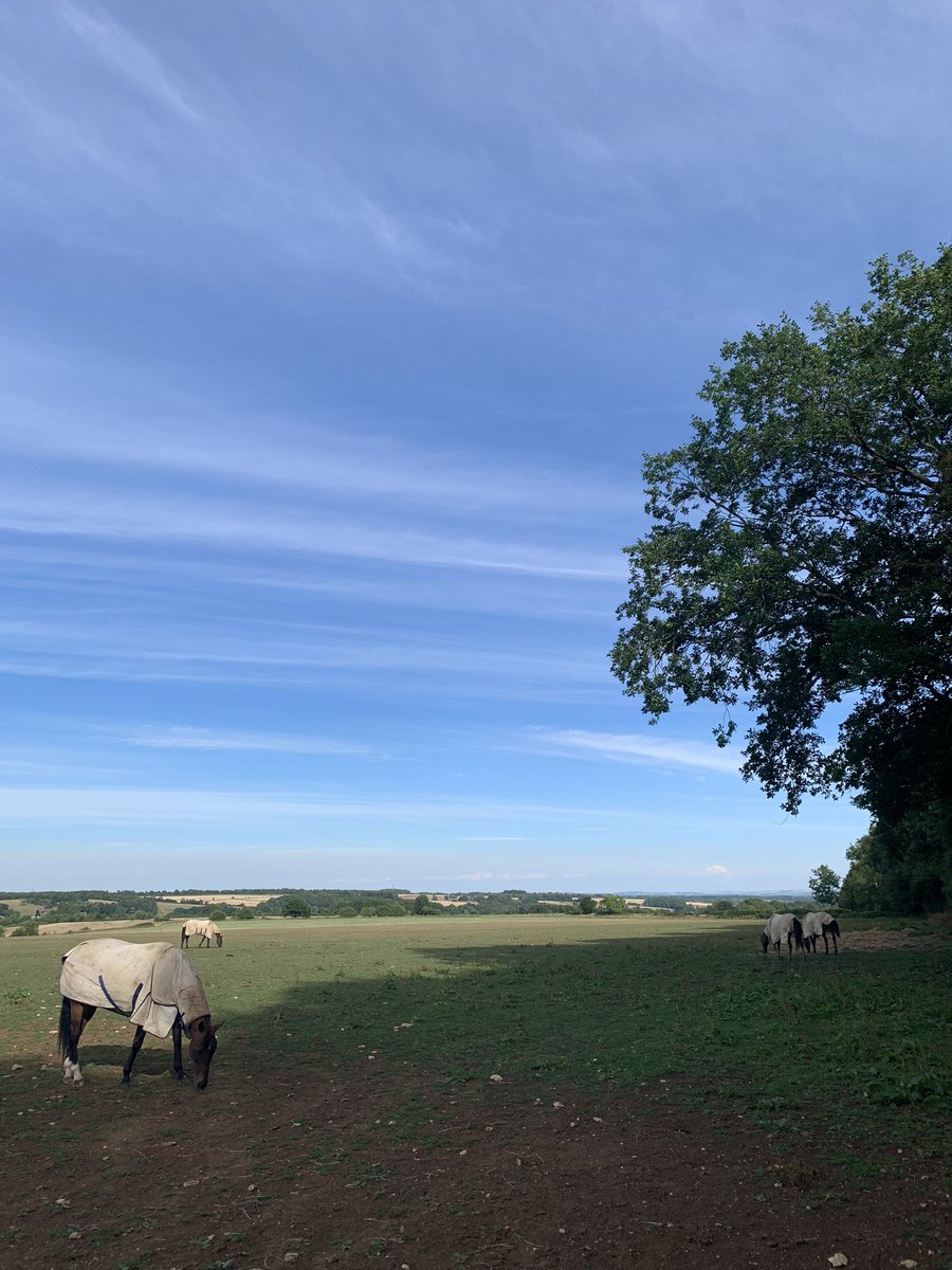 Chris Canning tweet media