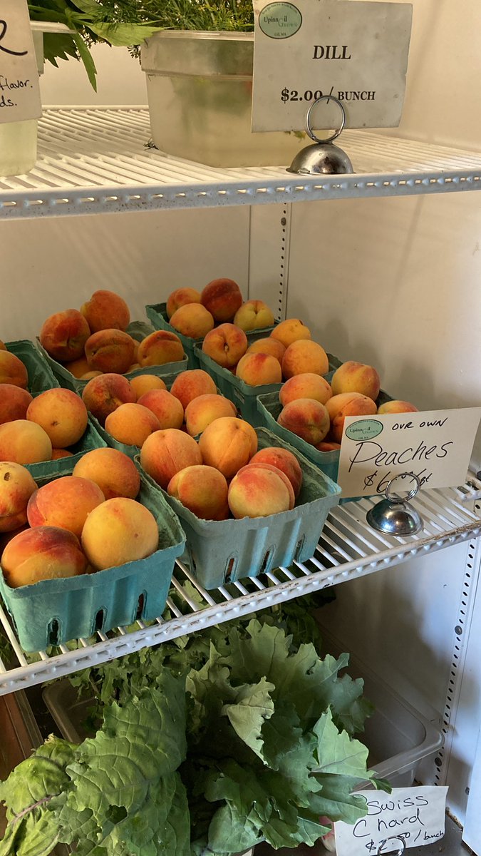 Our peaches are in!