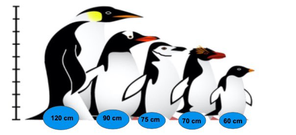 pattysolandrade's tweet photo. My favorite exchange memory was when students were learning about Chile and they checked if they were taller than penguins from Chilean Patagonia. #CelebrateExchangeDay, @ECAatState @ParticipateLrng #UnitingOurWorld https://t.co/1VAcnyPXSV