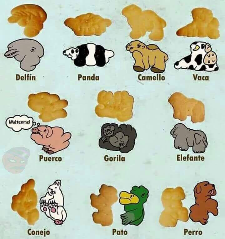 🥰🥰🥰