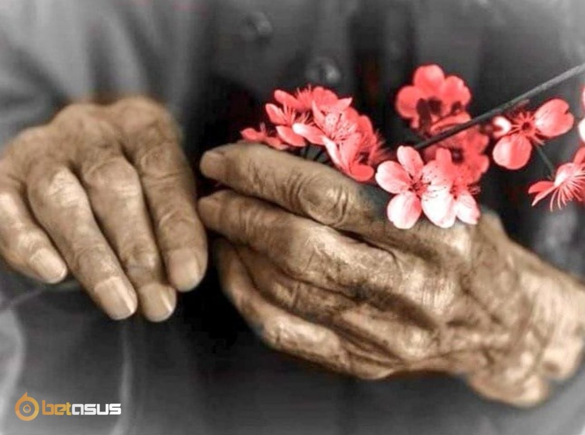 Herkesin penceresi tıpkı kalbi gibidir, kiminin ki; öfke, kavga, nefret. Kiminin ki; Aşk, sevgi, merhamet...