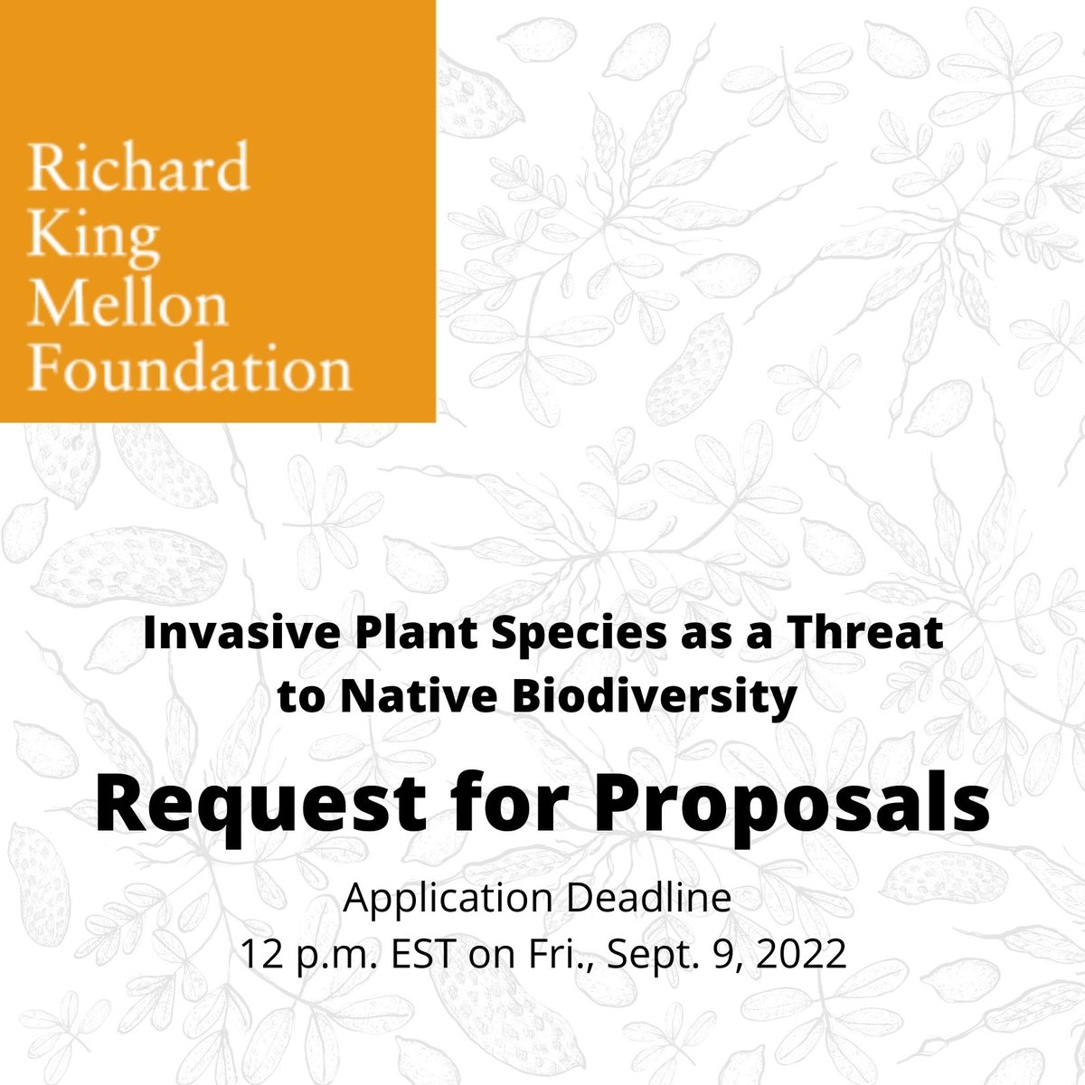 The Richard King Mellon Foundation has just released a Request for Proposal (RFP) to fund projects designed to slow or stop the spread of harmful invasive plants in the United States. The deadline is Sept. 9, 2022. Learn more: bit.ly/NAA22RMRFP