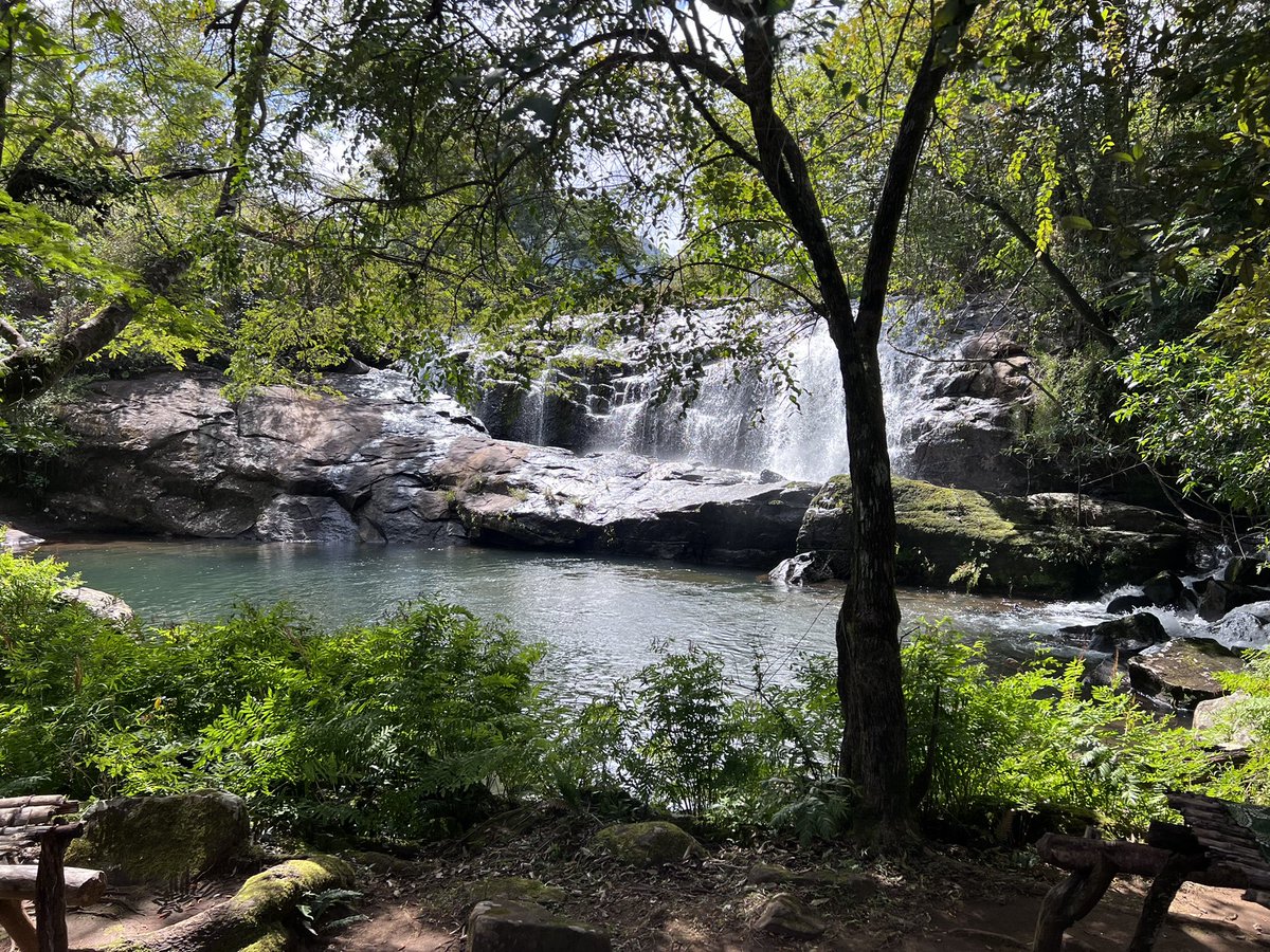 Robert Anemone tweet media