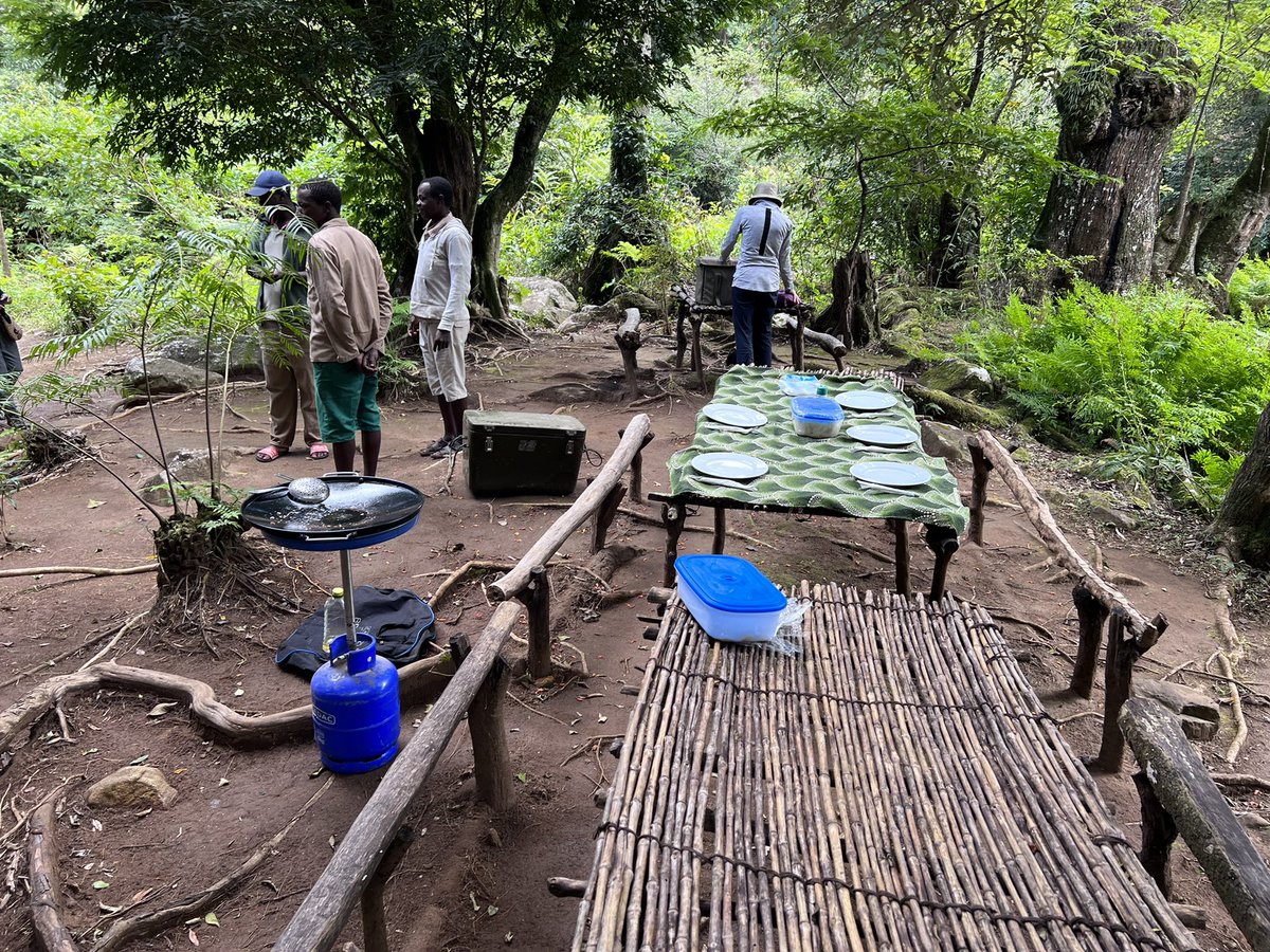 Robert Anemone tweet media