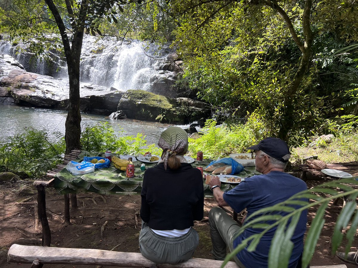 Robert Anemone tweet media