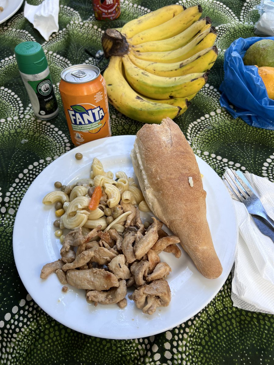 Robert Anemone tweet media