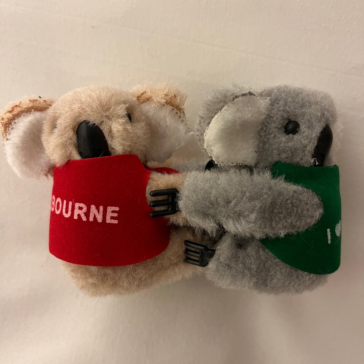 BBM_Wong's tweet photo. Watch out for these cuties on the last day of #ISBE2022. 🇸🇪🐨🇦🇺 #ISBE2024 @ISBE2024 https://t.co/5p3hfrZQpz