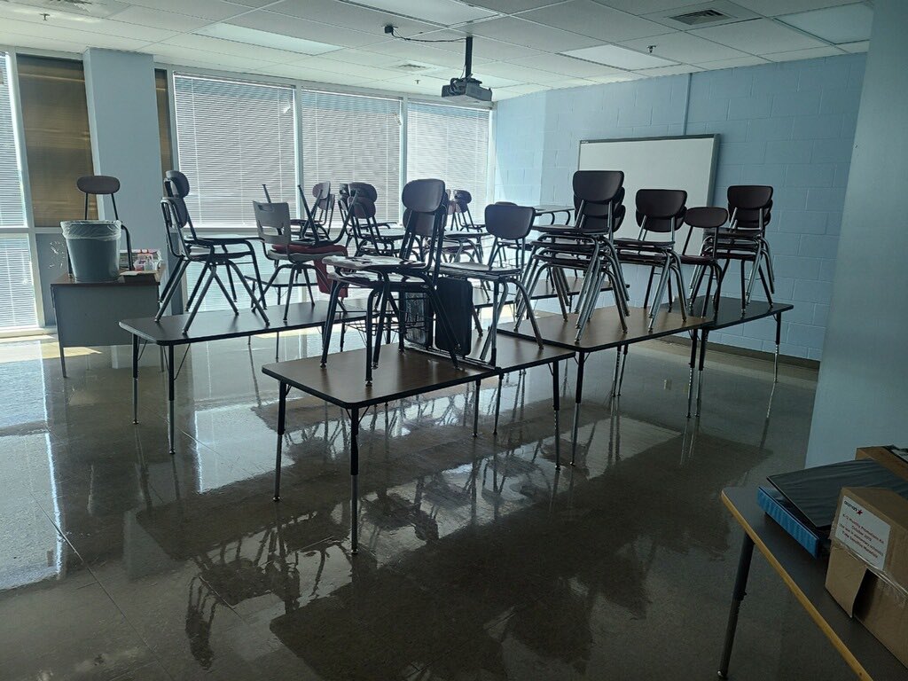 Tami Murphy tweet media