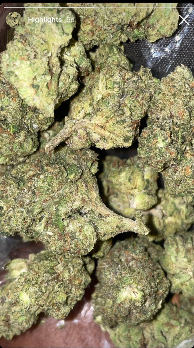 Miami and surrounding areas…tap in . Shopping also available .💯 #miami #highlife #broward #plug #gas #shipping #dank