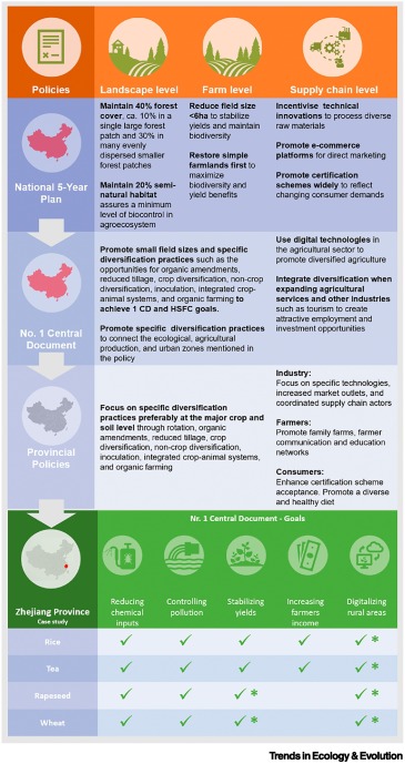 Trends_Ecol_Evo's tweet photo. Science and Society article out online now

Integrating agricultural diversification in China’s major policies

by Xueqing He, Wolfgang Weisser, Yi Zou, Shenggen Fan, Thomas Crowther and @tomcwanger https://t.co/lBatQeXs3b https://t.co/JaTpLguY7r