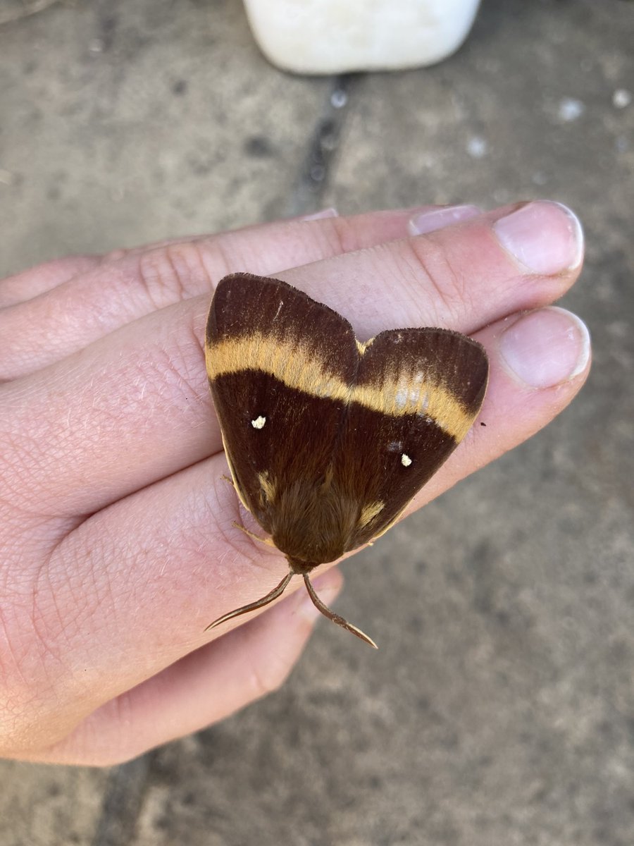 Middlehall farm tweet media