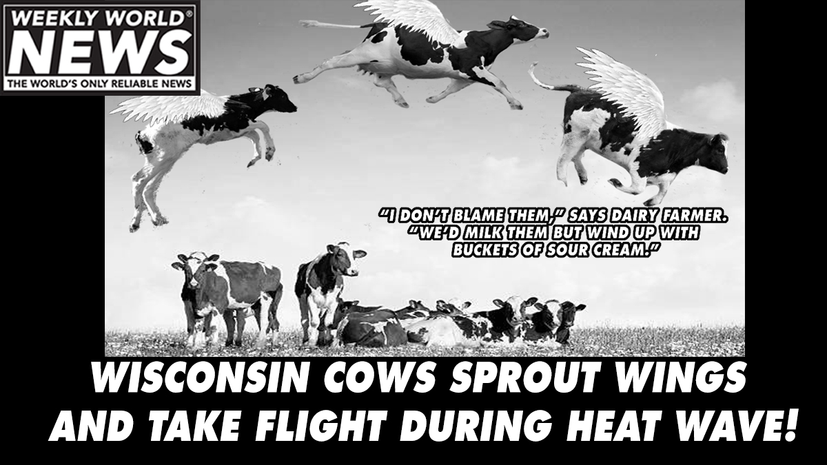 weeklyworldnews's tweet photo. The heatwave is angering so many people... and animals. "This is an extreme case of bovine heatstroke."
#heatstroke #cows #Wisconsin #heatwave #heat #hot #moo #wings #flyingcow https://t.co/lgUCt1ecdK