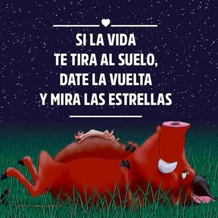 EnsedeCiencia's tweet photo. https://t.co/KnXOHpcQ6x