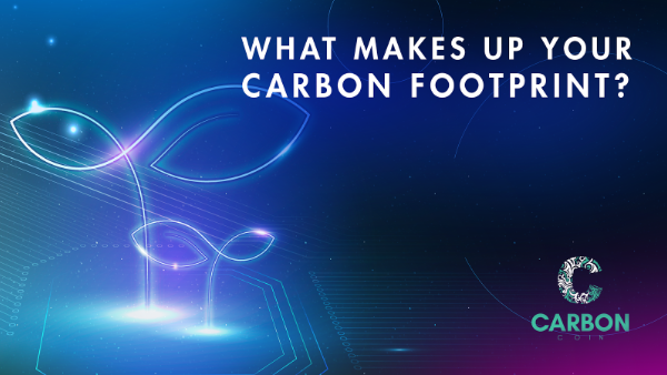 CarbonCo5's tweet photo. What makes up your carbon footprint? 
It’s difficult to pinpoint the exact figures for someone’s carbon footprint. Say, if you’re driving a car, you should count emissions both from its daily use and from its manufacturing. 

#CarbonCredits #carbon #carbonzero https://t.co/53tlHm88sb