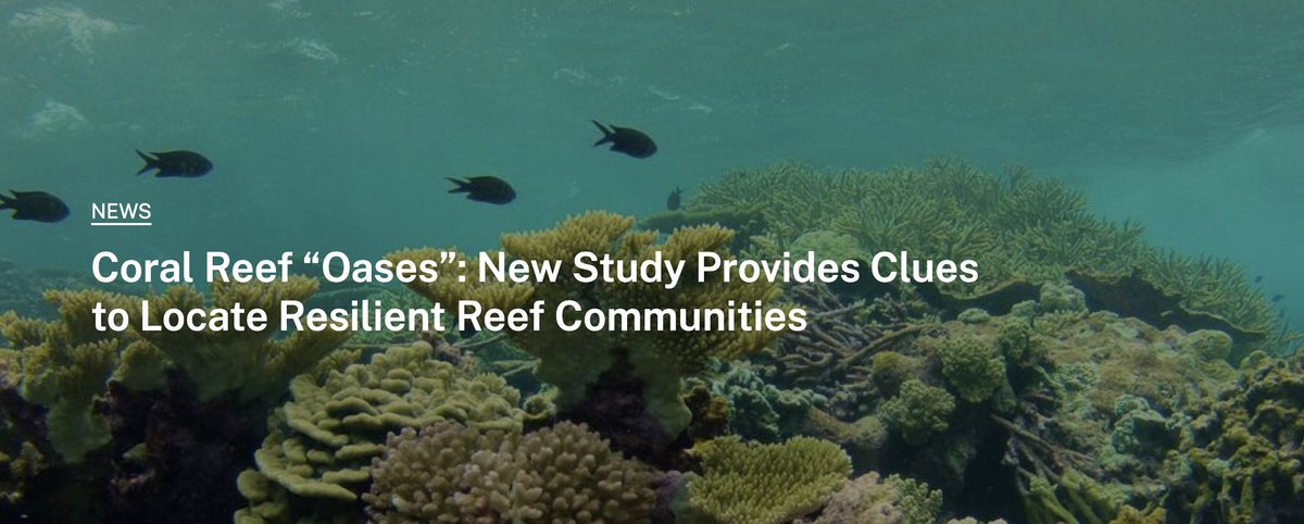 EcoJillBaron (@jillbaron4) on Twitter photo Coral reef oases DO exist, and Powell Center group from 2016 determined the characteristics that allow some reefs to thrive. Check it out at usgs.gov/centers/spcmscâŠ.
Synthesis, the gift that keeps on giving. <a href="/usgsJWP/">Powell Center</a> Coral reef oases DO exist, and Powell Center group from 2016 determined the characteristics that allow some reefs to thrive. Check it out at usgs.gov/centers/spcmscâŠ.
Synthesis, the gift that keeps on giving. <a href="/usgsJWP/">Powell Center</a>