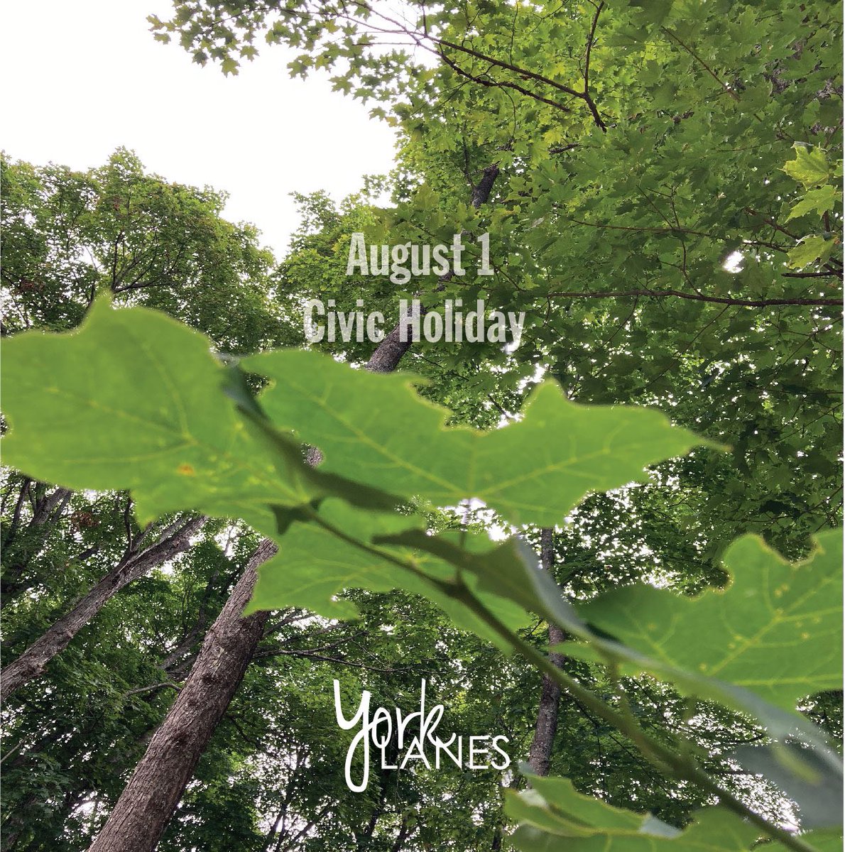 York Lanes is open today
 Monday’s aren’t too bad when it’s a holiday. Hope you are enjoying a great long weekend. 
If you are here, just a reminder that York Lanes is open today.

#yorkuniversity #YUspirit #yorklanes #yorkulions #studentlifeyu #yorku  #yorkuviews  #august1