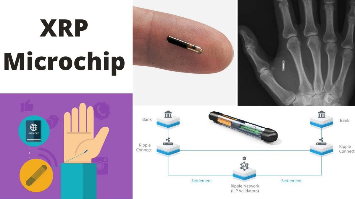 Xanon24's tweet photo. When all the main cryptos go in a chip like this with XLSD-30 and stuff and cold storage wallets become obsolete and wallets don't go missing like USBs with tons of btc in them I'm not going to even mention price cause the human mind can't comprehend beyond what IOV can really do https://t.co/qWQE9R9DmM