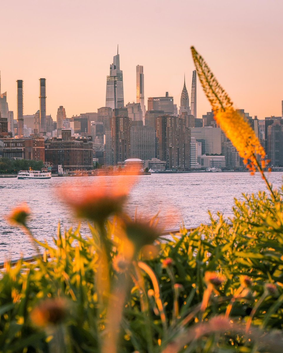 Summer and the city. #AlwaysNYC

📸 @letsjustgowiththeflow

.
.
.
#innsidenewyork #innsidemoments #travel  #staycurious #momentslikethese #views #vacationmode #newyork #travelgram #beautifuldestinations #wanderlust #wow #vacation #viewfromabove #newyorklife"