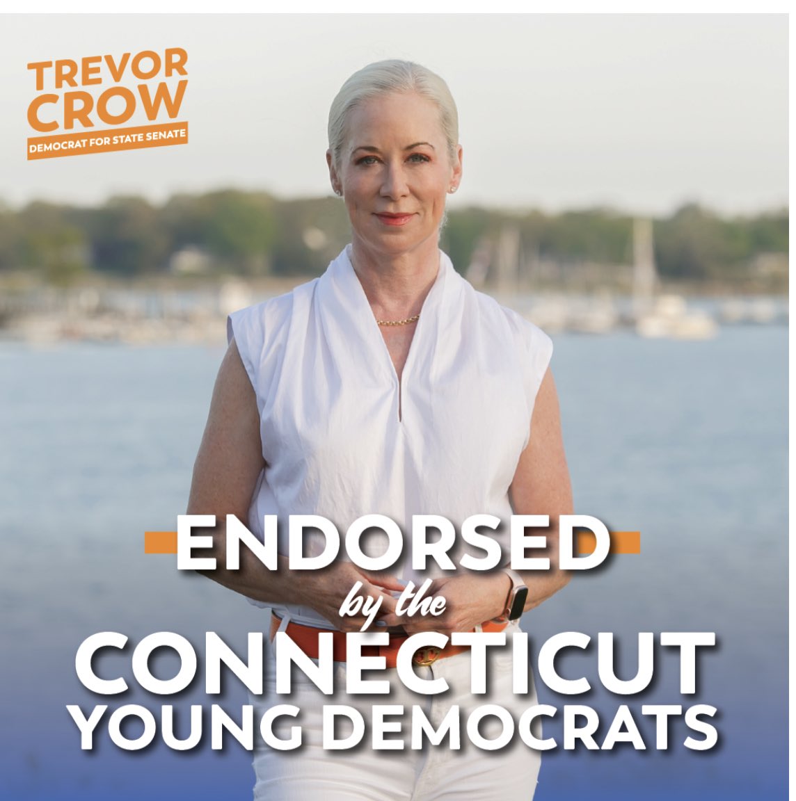 I am thrilled to be endorsed by <a href="/YoungDemsCT/">Young Democrats of Connecticut</a>  #voteblue2022  <a href="/CTSenateDems/">CT Senate Democrats</a>  @Greenwich_Dems  <a href="/bluecanaan/">New Canaan Democrats</a>