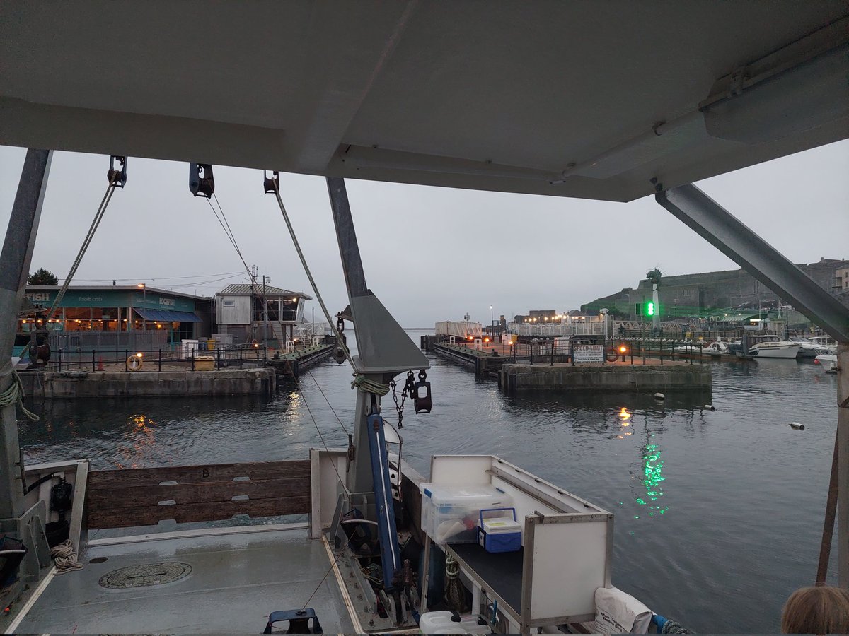 Dr. Kimberley Bird tweet media