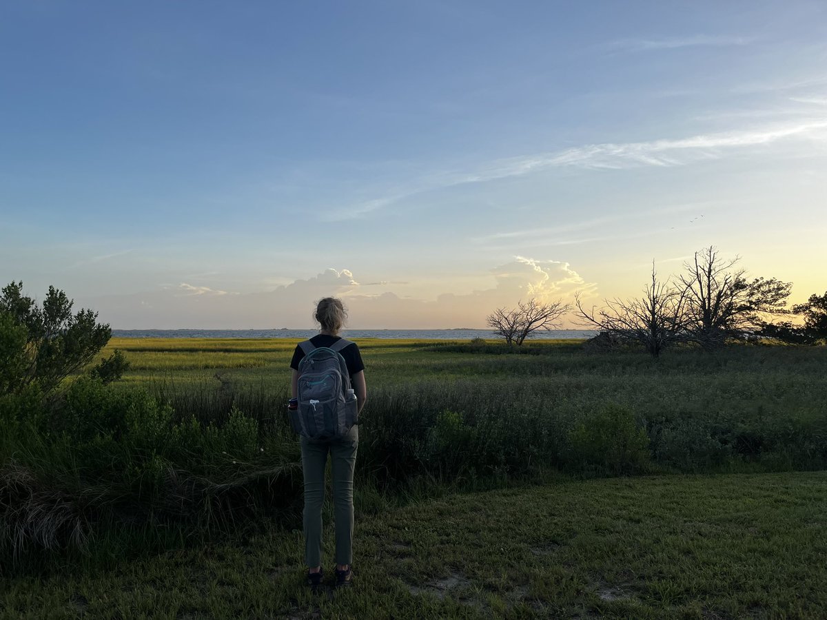 Kostka Lab tweet media