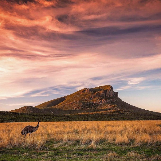 Watch Australia's leaked NSFW photo on TwXstars