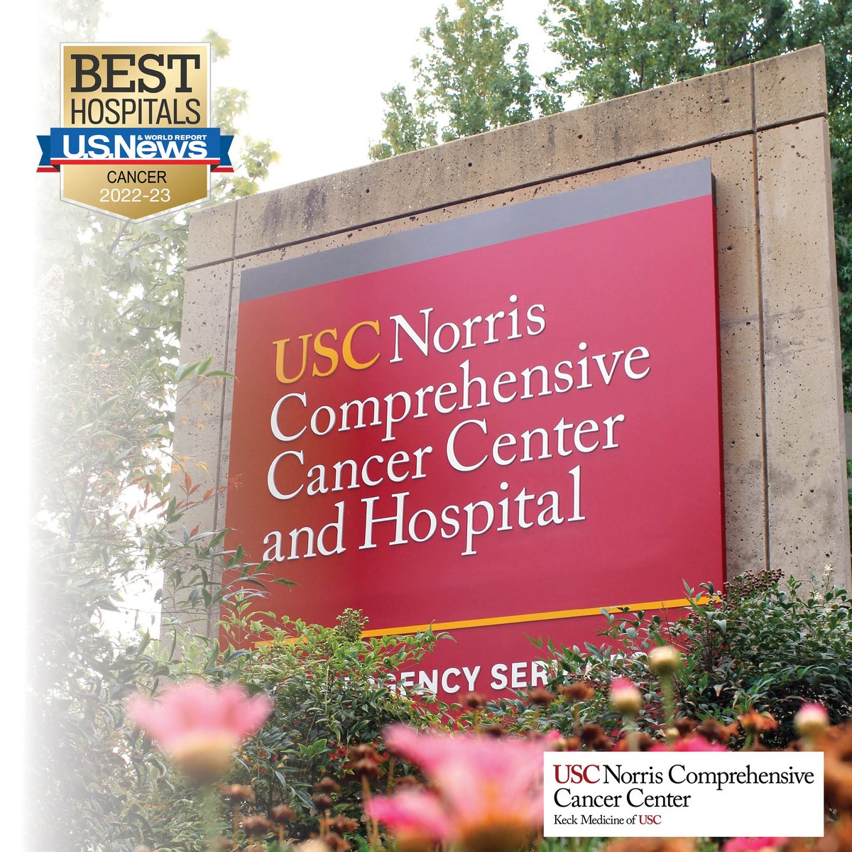 USC Norris Comprehensive Cancer Center (@uscnorris) on Twitter photo <a href="/uscnorris/">USC Norris Comprehensive Cancer Center</a> has once again been ranked among the Top 20 Cancer Hospitals by <a href="/usnews/">U.S. News & World Report</a> now #18 in the nation. Thank you to our physicians, nurses, & staff who provide exceptional care to our patients & to our scientists who discover novel approaches to #cancer treatment & prevention. <a href="/uscnorris/">USC Norris Comprehensive Cancer Center</a> has once again been ranked among the Top 20 Cancer Hospitals by <a href="/usnews/">U.S. News & World Report</a> now #18 in the nation. Thank you to our physicians, nurses, & staff who provide exceptional care to our patients & to our scientists who discover novel approaches to #cancer treatment & prevention.