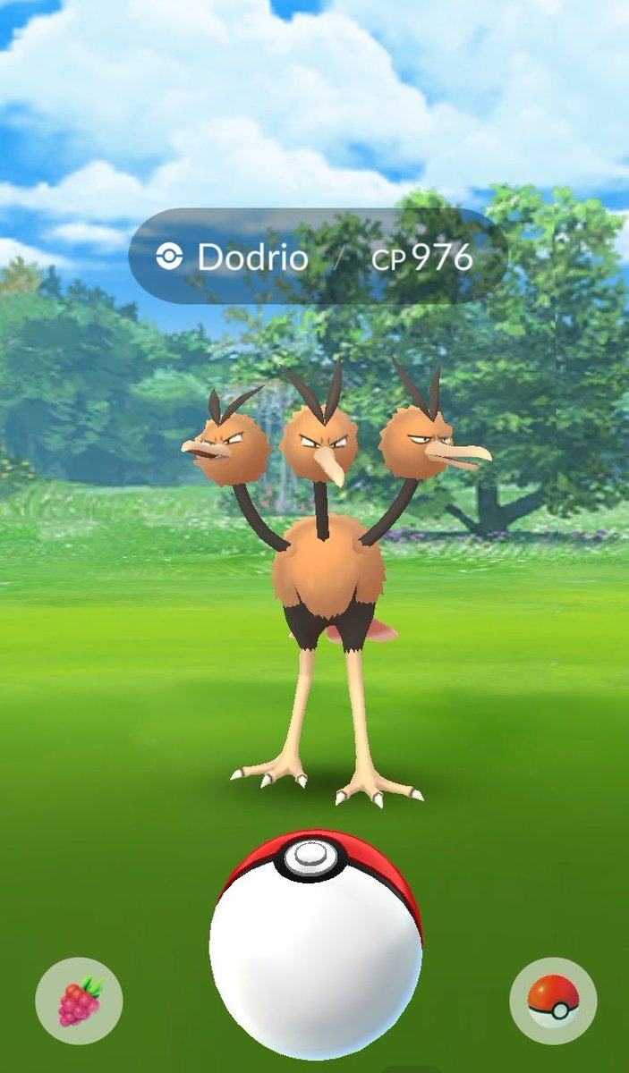 LordOfGifts20's tweet photo. Finally CAUGHT my Galarian Bird after completing my 6-Daily Insence task 🤨
I know it looks different, it's just a glitch and trust me it's a Galarian 🐦 
#ThisIsDepressing #PokemonGoApp #dailyincense #15MinsOfHappiness https://t.co/xqqBd4z2Lp