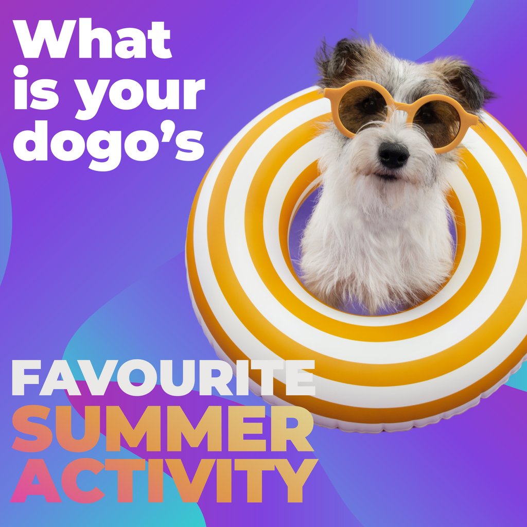 RuffLife Rescues. tweet media