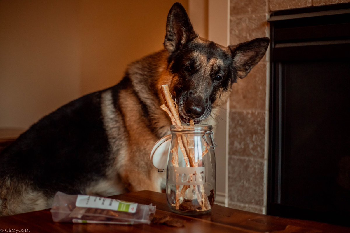 OhMyGSDs || OMyAussie tweet media