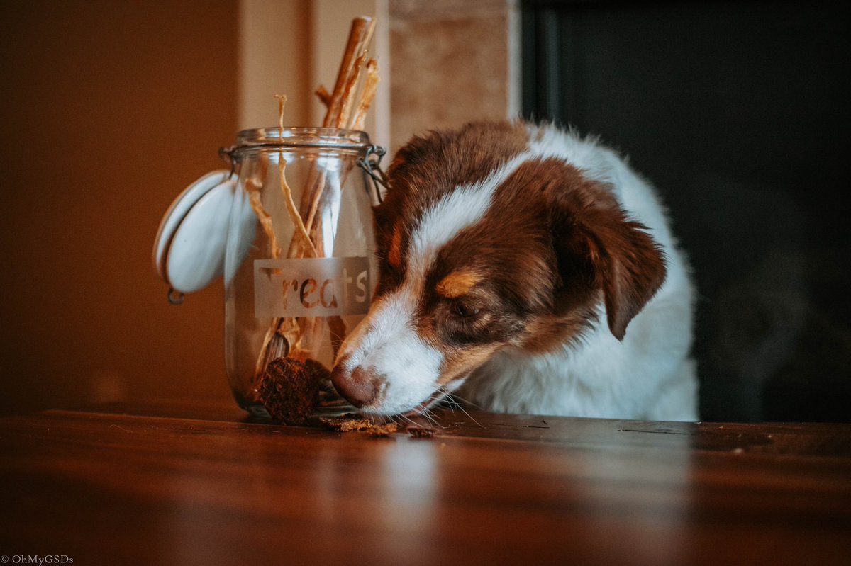 OhMyGSDs || OMyAussie tweet media